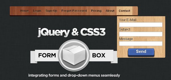 分享16个优秀的 CSS3 表单开发教程
