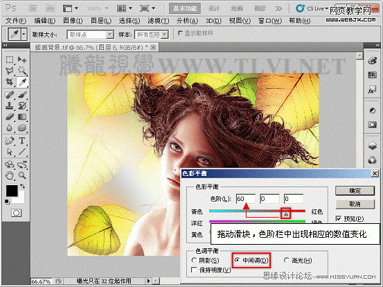 PS入门教程:色彩平衡命令调整图片色彩_webjx.com